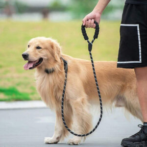 Leashes