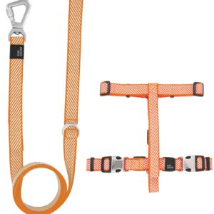 Pet Life 'Escapade' Outdoor Series 2-in-1 Convertible Dog Leash and Harness