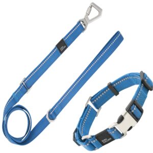 Pet Life 'Advent' Outdoor Series 3M Reflective 2-in-1 Durable Martingale Training Dog Leash and Collar