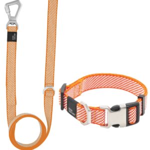 Pet Life 'Escapade' Outdoor Series 2-in-1 Convertible Dog Leash and Collar