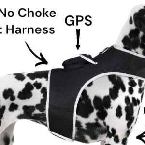 Waterproof Tracking Collars for Hunting Dogs Realtime GPS Pet Tracker Size:S