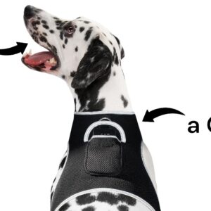 Get Realtime Location Update w/ Pet Tracker GPS Tracking Collars for Dogs Size:XXL