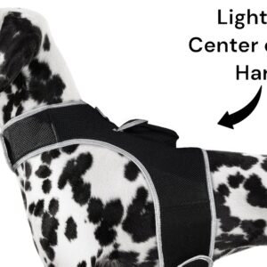 Get Highly Precise Readings w/ Pet Tracker Mini Dog Tracking Collar Device Size:L