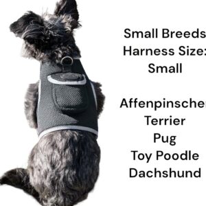 Hunting Made Easy w/ NEW Pet Tracker GPS Tracking Collars for Hunting Dogs Size:M
