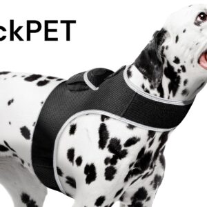 Get Highly Precise Readings w/ Pet Tracker Mini Dog Tracking Collar Device Size:M